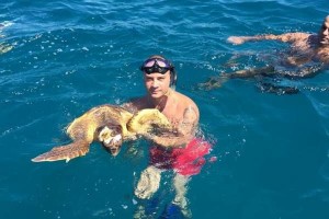 Vincenzo Calise e la tartaruga Rocco