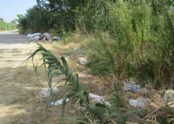 Scoperto deposito incontrollato di rifiuti a Roccabernarda