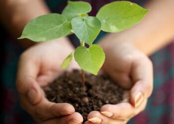 Bandi Psr, a Strongoli l’Acli Terra chiede ripristino competenze uffici territoriali