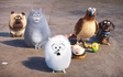 Pets: vita da animali. Una clip in esclusiva