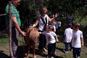 baby-kinder-park-ciro-marina-2