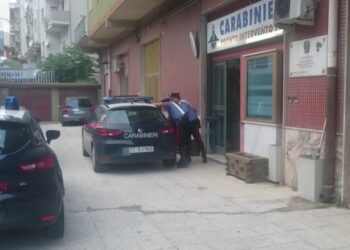 Accoltella convivente dopo lite, arrestata 33enne a Cotronei