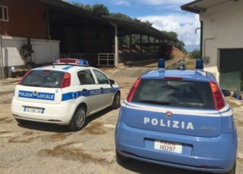 Deposito di letame, sequestrata parte di azienda agricola a Rossano