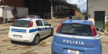 Deposito di letame, sequestrata parte di azienda agricola a Rossano