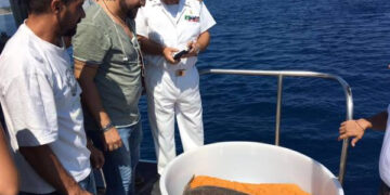Tartarughe, ‘Assunta’ e ‘Rocco’ tornano liberi nel mar Ionio