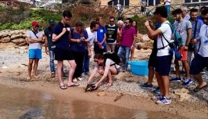 liberazione-tartaruga-assunta-a-le-castella