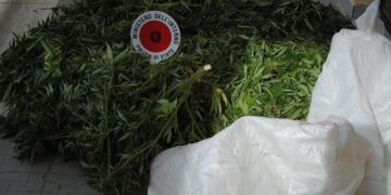 Sequestrati a Crotone 16 kg di marijuana, erano in un casolare abbandonato
