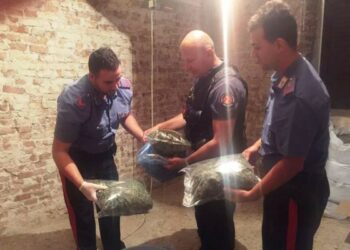 Laboratorio di marijuana in centro, tre arresti nel reggino