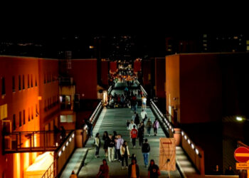 All’Unical la Notte dei Ricercatori: scienza, sport e spettacoli