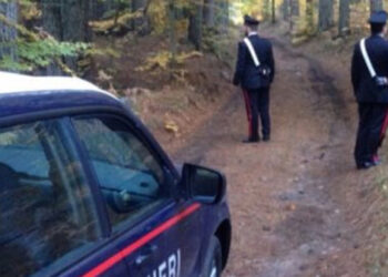 Quattro cirotani dispersi nei boschi di Verzino