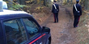 Quattro cirotani dispersi nei boschi di Verzino