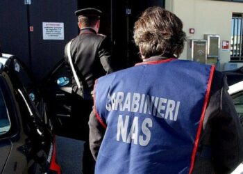 Nas in villaggio turistico nel cosentino, chiuso deposito di alimenti