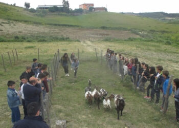 Ripartono le fattorie didattiche nel crotonese