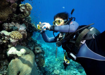 A Crotone safari fotografico subacqueo, appassionati a caccia di scatti