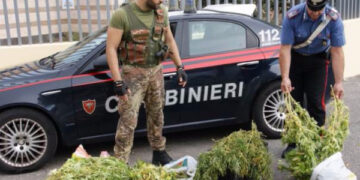 Blitz in villa a Crotone, sequestrati 12 kg di marijuana: in manette 48enne