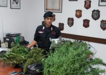Sequestrati 3 kg di marijuana ad Isola Capo Rizzuto, in manette due cugini