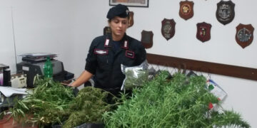 Sequestrati 3 kg di marijuana ad Isola Capo Rizzuto, in manette due cugini