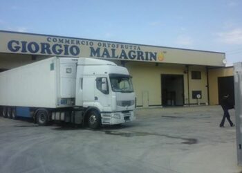 L’Ingrosso di Frutta di Corigliano, dona le clementine ai terremotati di Camerino