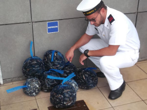 capitaneria-di-porto-confiscati-trenta-chili-di-cozze