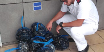 La Capitaneria confisca trentasei chili di cozze e vongole nei pressi di Ciro’ Marina