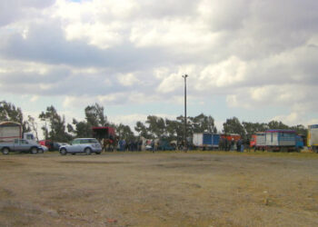 Ciro’ Marina, domani la Fiera degli Animali ai Mercati Saraceni