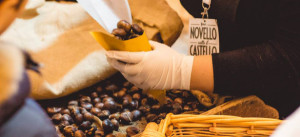 novello-sotto-il-castello4