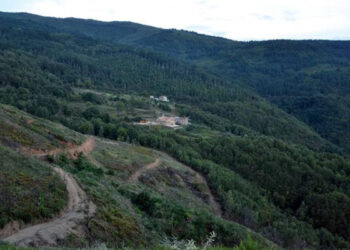 Passeggiata a piedi da Borgo Partenope a Canale di Pietrafitta