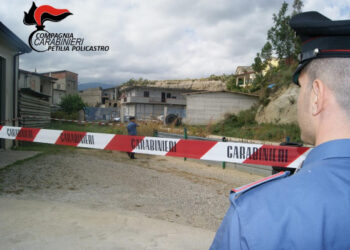 Roccabernarda, Centro revisioni ”a prima vista” regolare