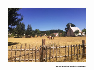 stati-uniti-della-sila-alessia-principe-texas-sila-sul-set-di-the-walking-dead-camera-car