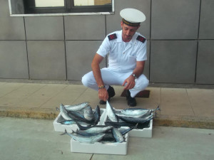 vendeva-tonnetti-per-strada-multa-di-1500-euro