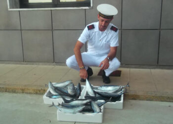 Vendeva tonnetti per strada, multa di 1500 euro