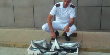 Vendeva tonnetti per strada, multa di 1500 euro