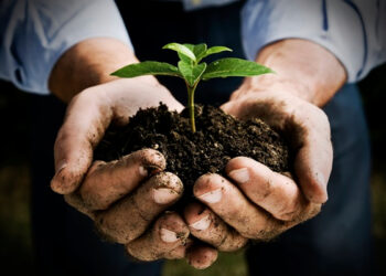 Coldiretti: bene la pubblicazione del bando PSR Agroindustria