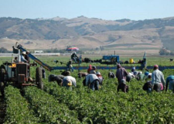 La Camera dei Deputati approva in via definitiva la Legge sul Caporalato