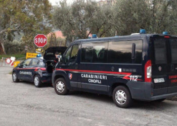 Santa Severina, denunciato un uomo per raccolta e trasporto di rifiuti pericolosi