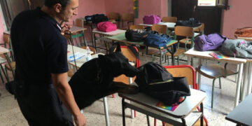 Carabinieri di Petilia Policastro, controlli anti droga nelle Scuole