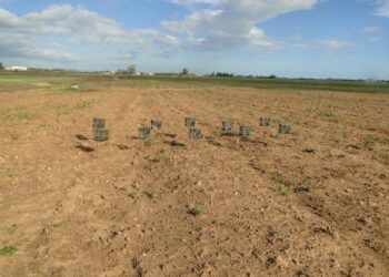 Cacciatore del nord Italia deferito in stato di libertà all’Autorità Giudiziaria