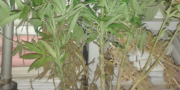 Circoli e Bar nel mirino della Polizia di Stato