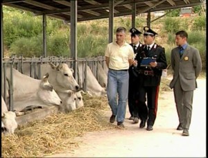 controllo-attivita-commerciali-trovati-3-lavoratori-in-nero-e-400mila-di-sanzioni4