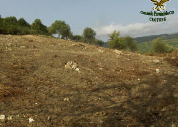 Cotronei: 6000mq di macchia mediterranea estirpata senza autorizzazione