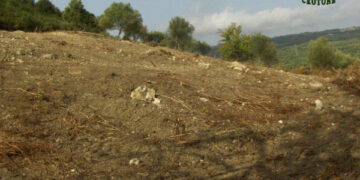 Cotronei: 6000mq di macchia mediterranea estirpata senza autorizzazione