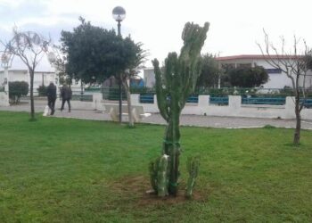 Grazie ai Cittadini e Comune, continua l’impegno di Città Pulita sul decoro urbano