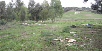 Guardie Ecozoofile: rinvenuta discarica vicino la Stazione di Cutro