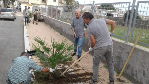 nuova-vegetazione-ornamentale-in-citta-grazie-a-citta-pulita2