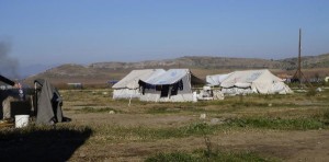 rientrata-la-carovana-solidale-e-resistente-calabrese-dai-campi-profughi-in-grecia3