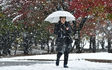 Tokyo, neve a novembre: non succedeva da 54 anni. FOTO