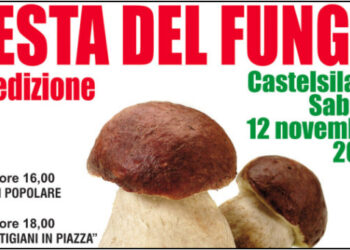 Festa del fungo a Castelsilano