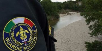 Guardie Ecozoofile, Controlli ambientali: un mare di eternit