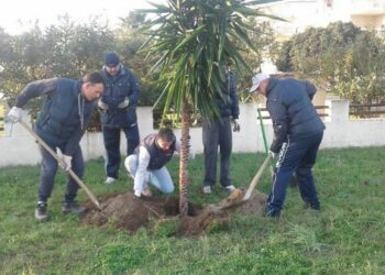 Ancora donazioni di piante da parte di singoli cittadini a Città Pulita