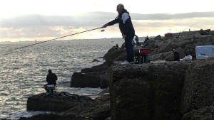 canna-da-riva-2016-1